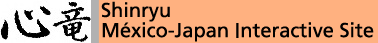 Shinryu / Mexico - Japan Interactive Site